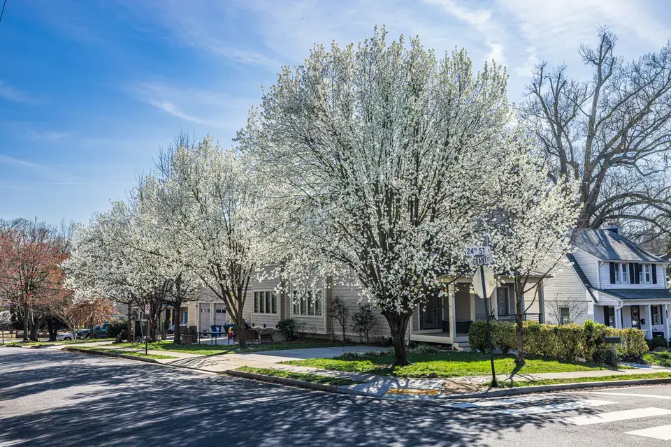 mold removal Sweet Home